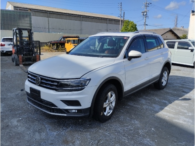 VOLKSWAGEN TIGUAN — фото