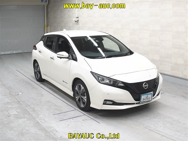 NISSAN LEAF — фото