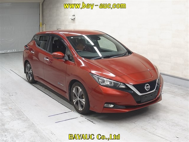 NISSAN LEAF — фото