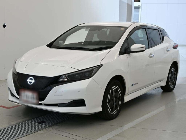 NISSAN LEAF — фото