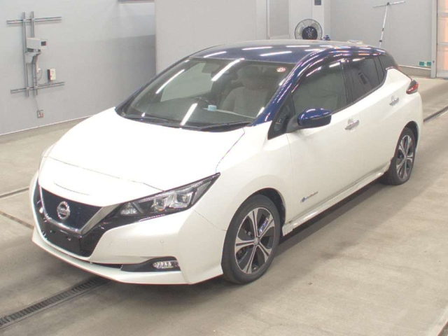 NISSAN LEAF — фото
