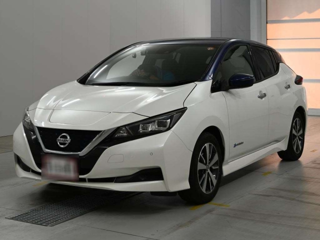 NISSAN LEAF — фото