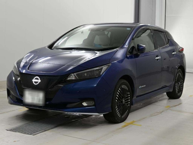 NISSAN LEAF — фото