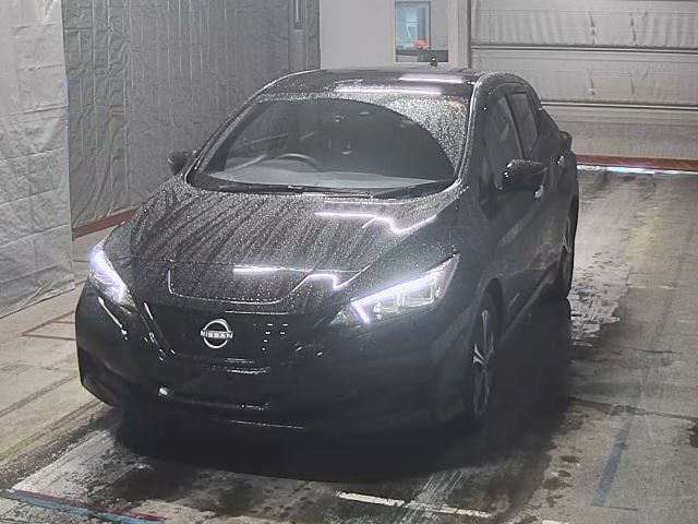 NISSAN LEAF — фото