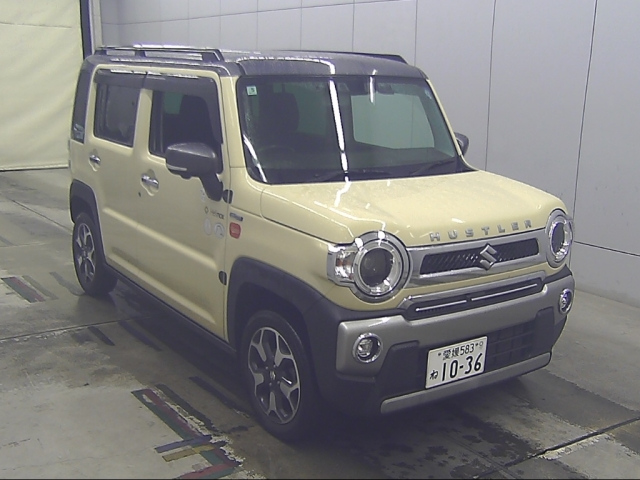 SUZUKI HUSTLER