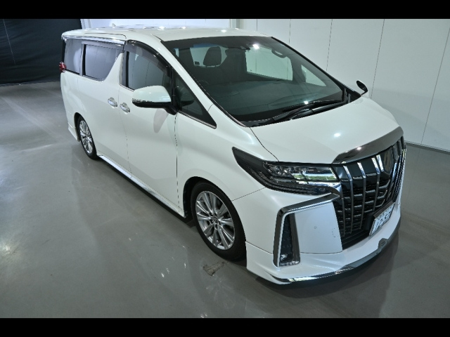 TOYOTA ALPHARD — фото