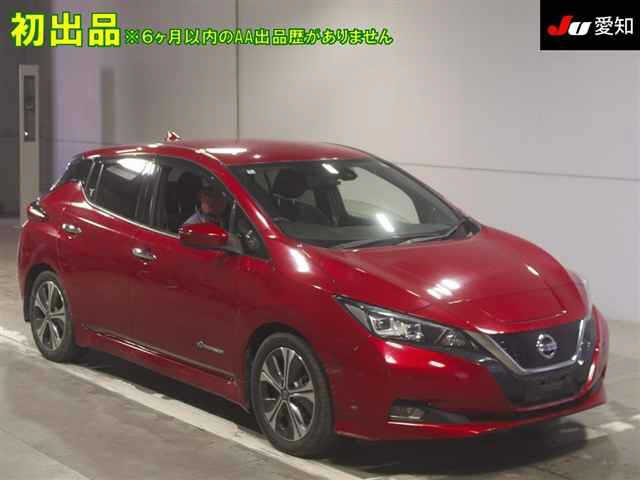 NISSAN LEAF — фото