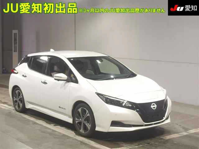 NISSAN LEAF — фото
