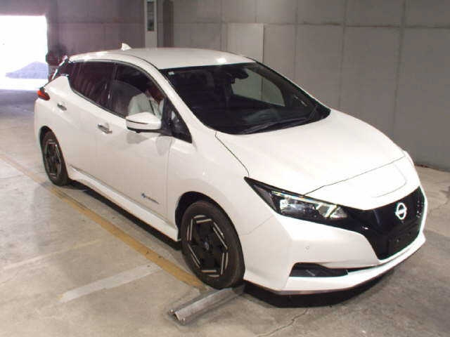 NISSAN LEAF — фото