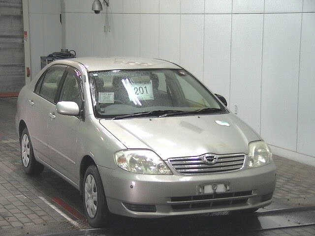 TOYOTA COROLLA — фото