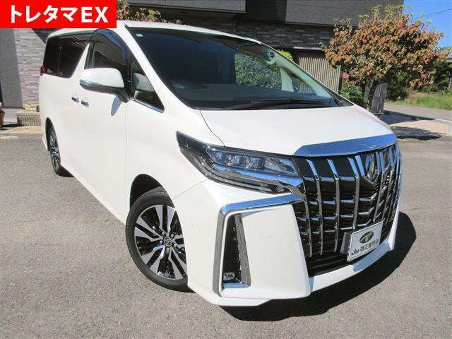 TOYOTA ALPHARD — фото