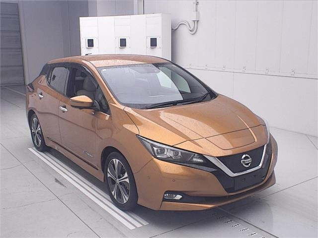 NISSAN LEAF — фото
