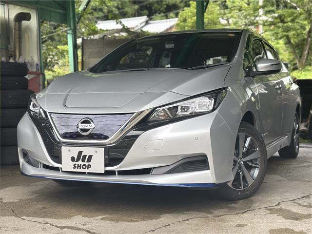 NISSAN LEAF — фото