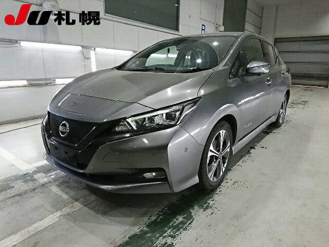 NISSAN LEAF — фото