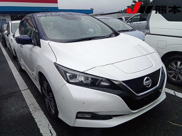 NISSAN LEAF — фото