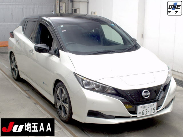 NISSAN LEAF — фото