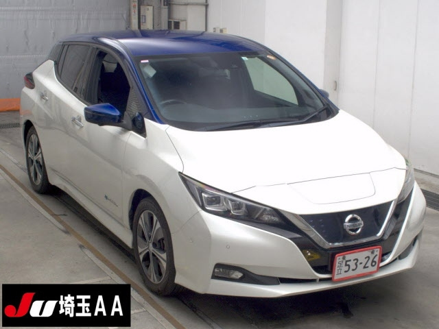 NISSAN LEAF — фото