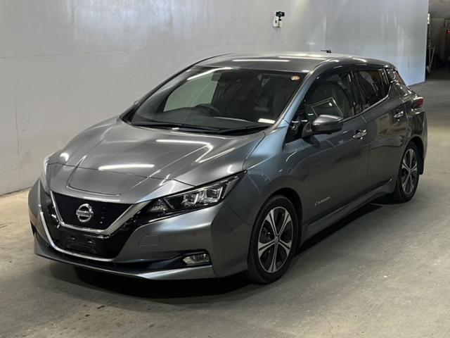 NISSAN LEAF — фото