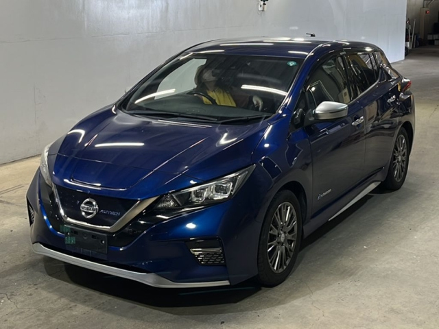 NISSAN LEAF — фото