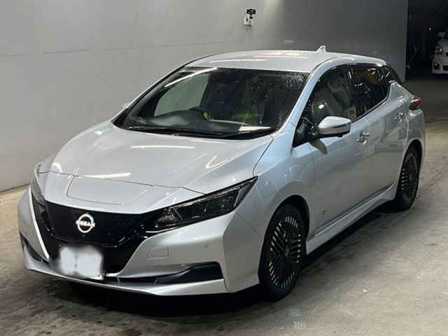 NISSAN LEAF — фото