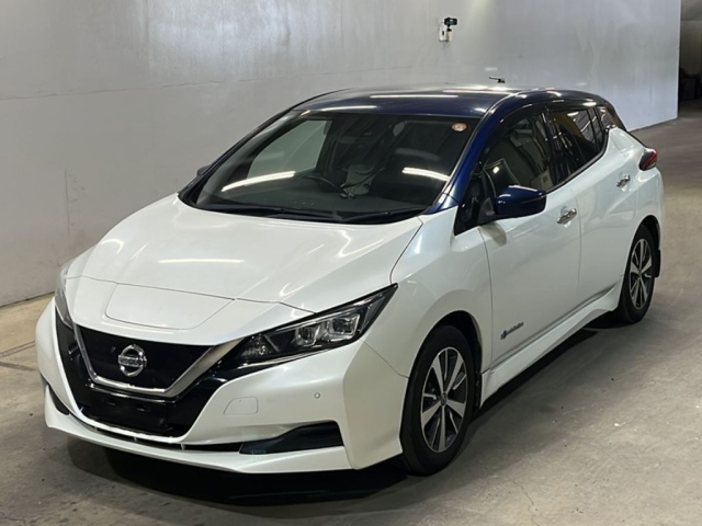 NISSAN LEAF — фото