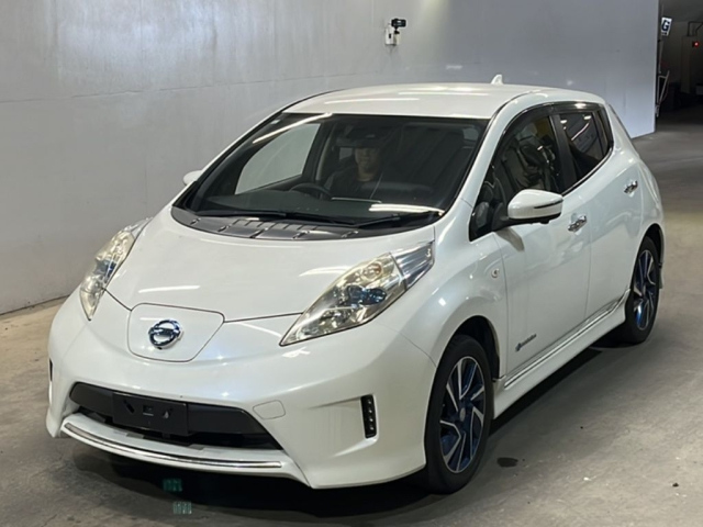 NISSAN LEAF — фото