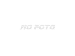 DAIHATSU MIRA — фото