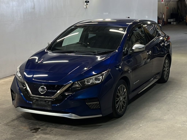 NISSAN LEAF — фото