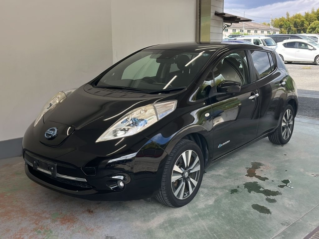 NISSAN LEAF — фото