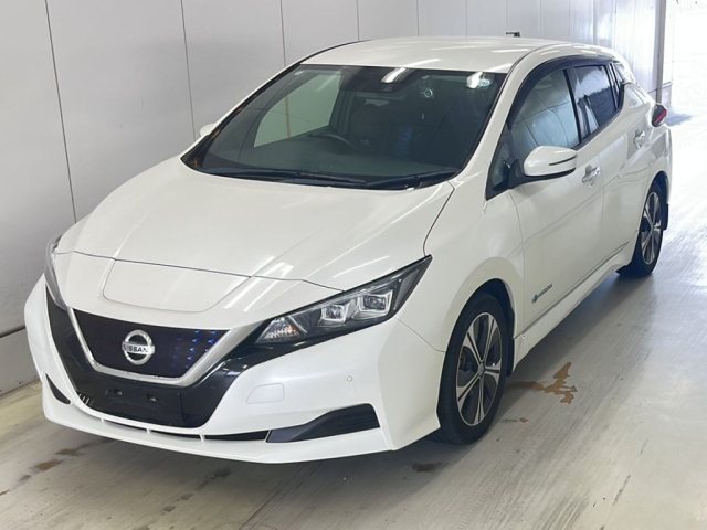 NISSAN LEAF — фото