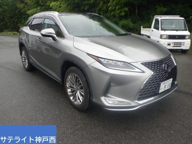 LEXUS RX