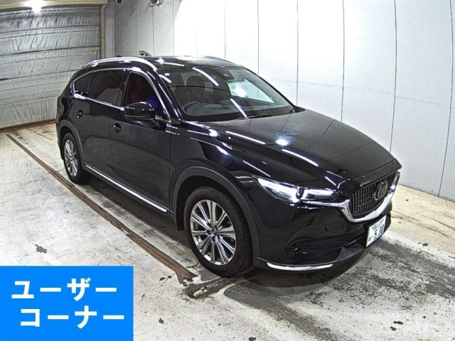 MAZDA CX 8 — фото