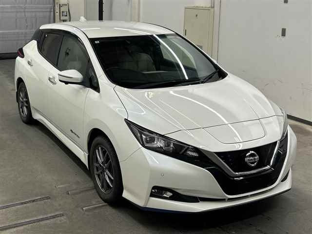 NISSAN LEAF — фото