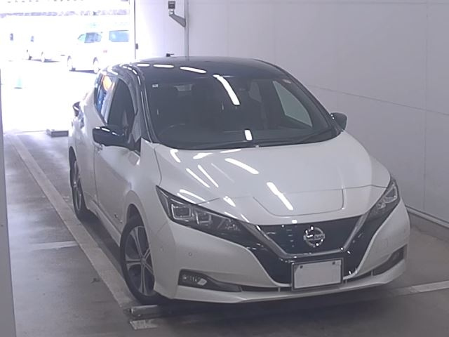 NISSAN LEAF — фото