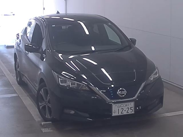 NISSAN LEAF — фото