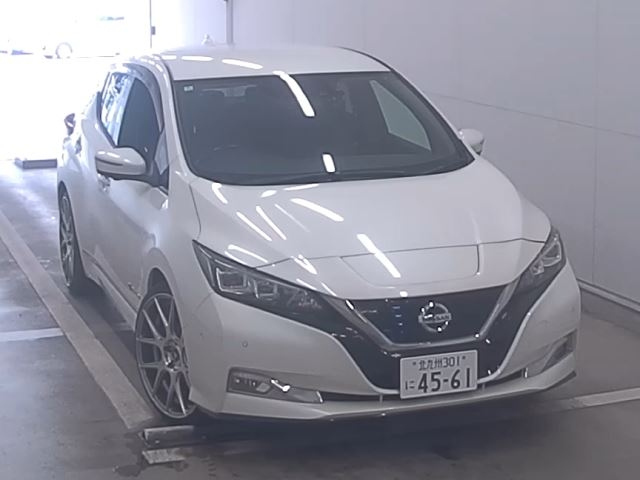NISSAN LEAF — фото