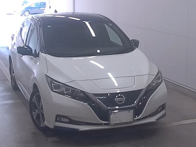 NISSAN LEAF — фото