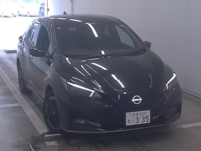 NISSAN LEAF — фото