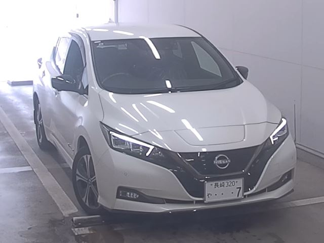 NISSAN LEAF — фото