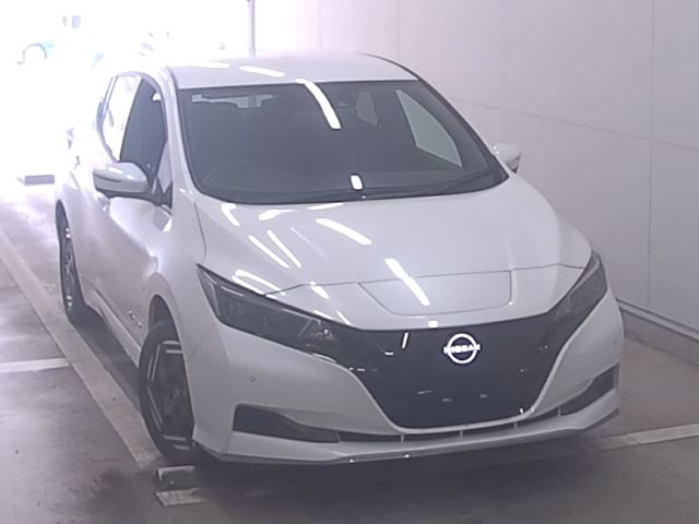 NISSAN LEAF — фото