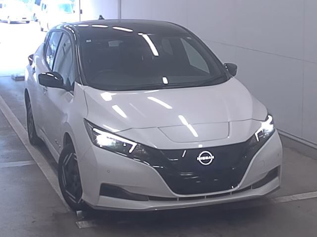 NISSAN LEAF — фото