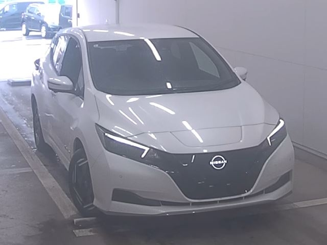 NISSAN LEAF — фото