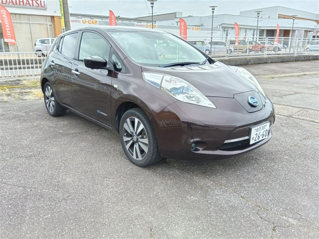 NISSAN LEAF — фото