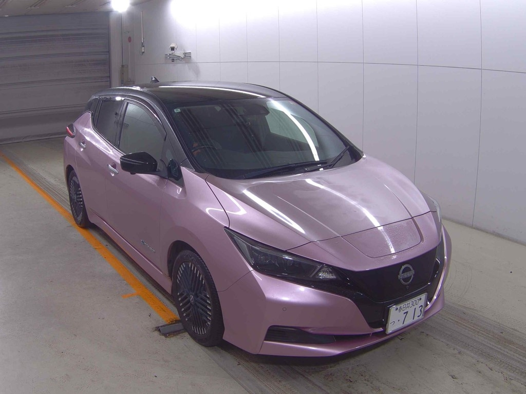 NISSAN LEAF — фото