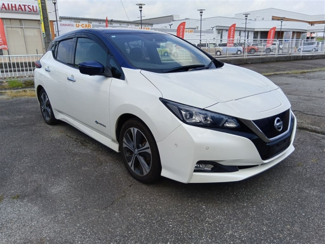 NISSAN LEAF — фото