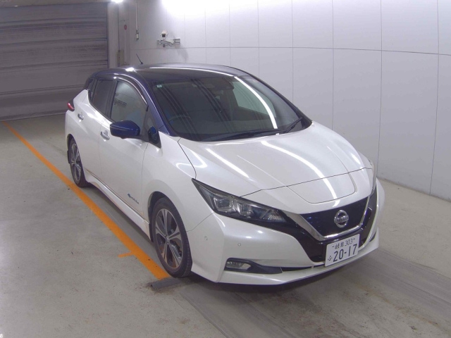NISSAN LEAF — фото