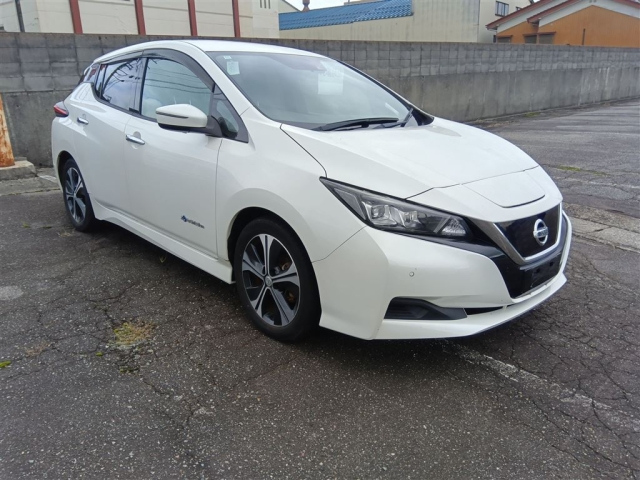 NISSAN LEAF — фото