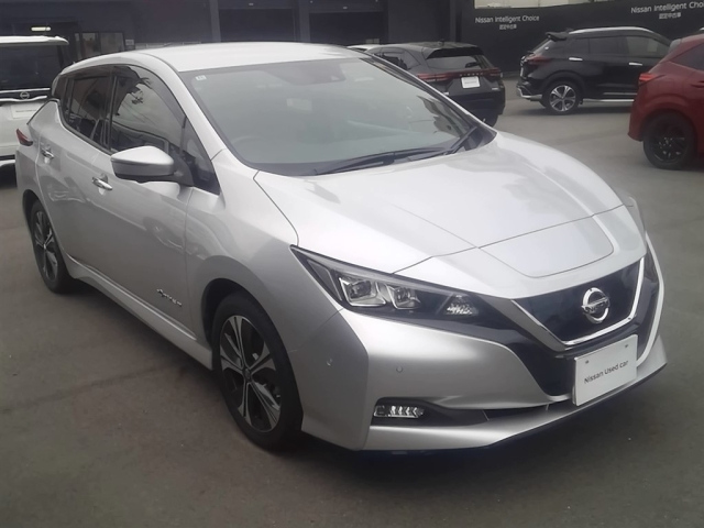 NISSAN LEAF — фото