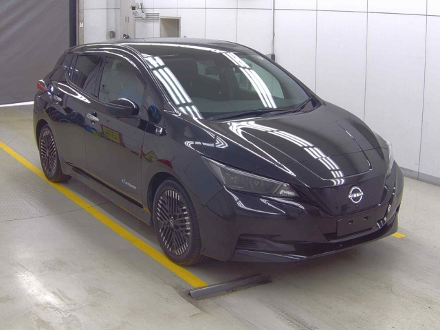NISSAN LEAF — фото