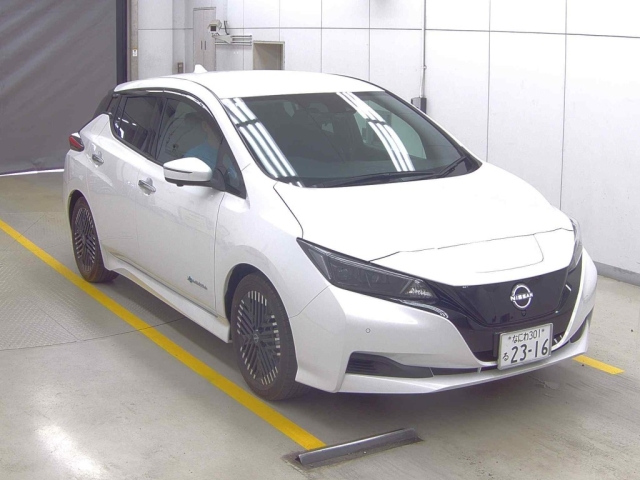 NISSAN LEAF — фото